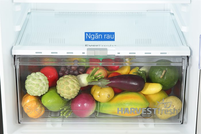 Tủ lạnh Beko Inverter 340 lít RDNT371E50VZDHFSU Màu Đen