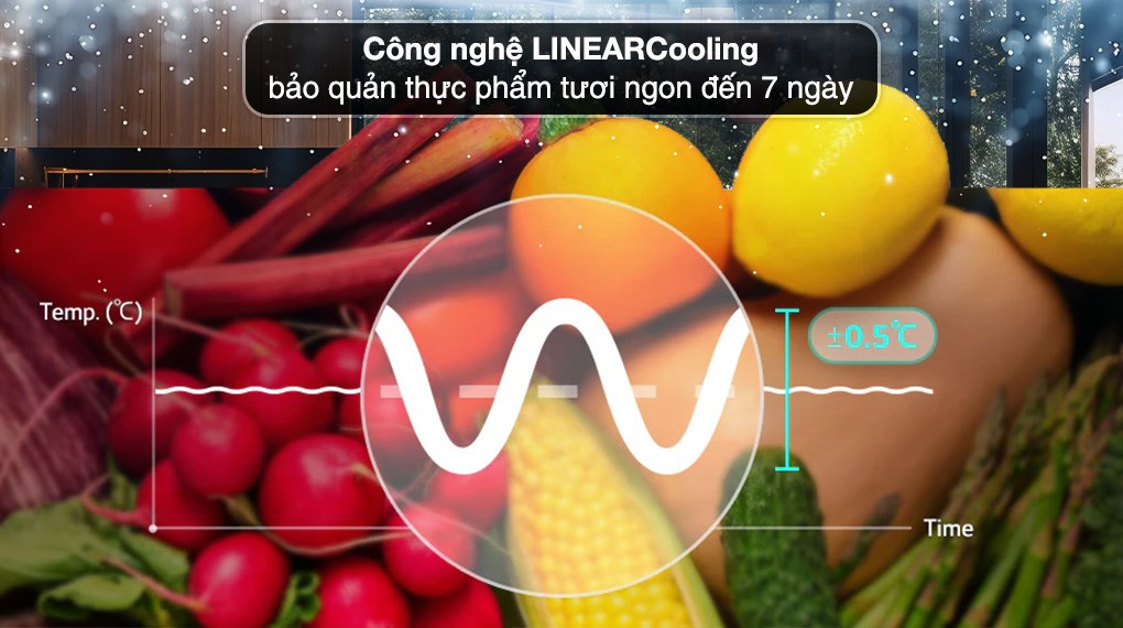 Tủ lạnh LG Inverter 635 lít Side By Side InstaView GR-G257BL