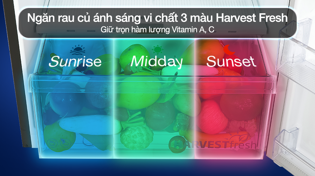 Tủ lạnh Beko Inverter 340 lít RDNT371E50VZHFSGB