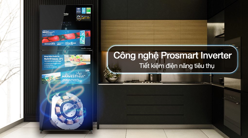 Tủ lạnh Beko Inverter 340 lít RDNT371E50VZHFSGB