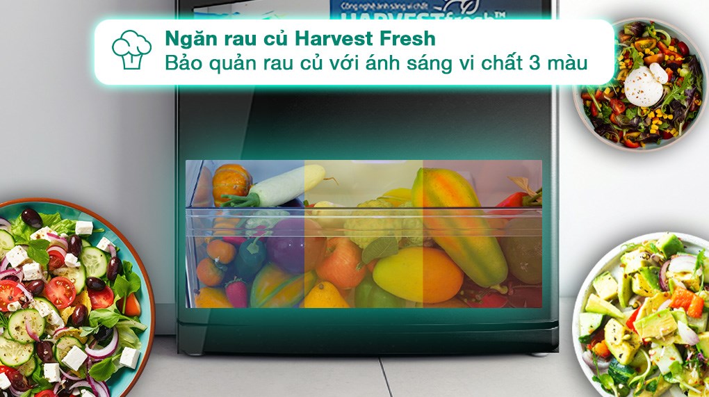 Tủ lạnh Beko Inverter 340 lít RDNT371I50VDHFSK