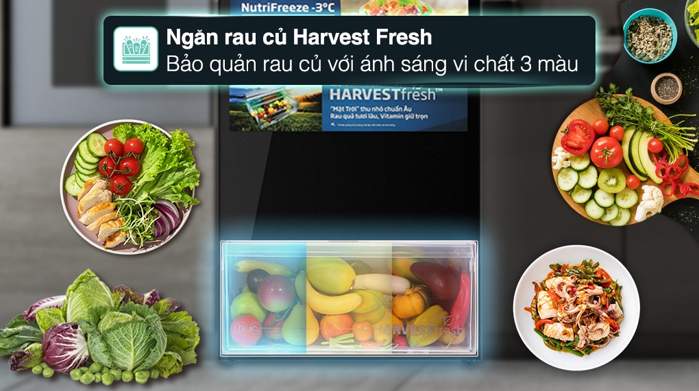 Tủ lạnh Beko Inverter 375 lít RDNT401E50VZHFSGB