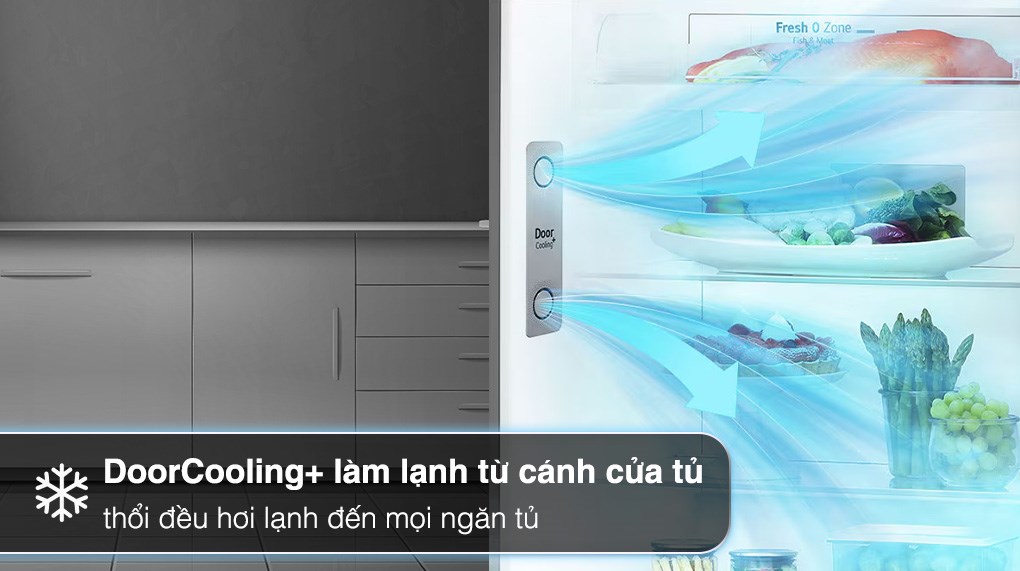 Tủ lạnh LG Inverter 459 lít LTD46BLMA