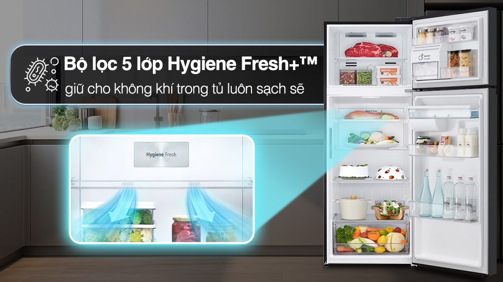 Tủ lạnh LG Inverter 459 lít LTD46BLMA