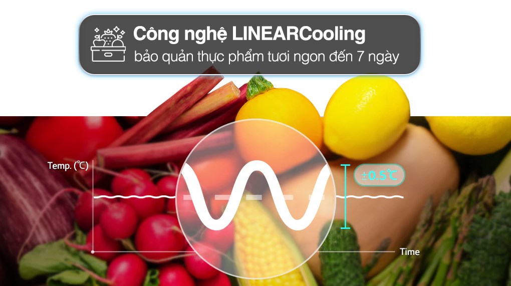 Tủ lạnh LG Inverter 459 lít LTD46BLMA