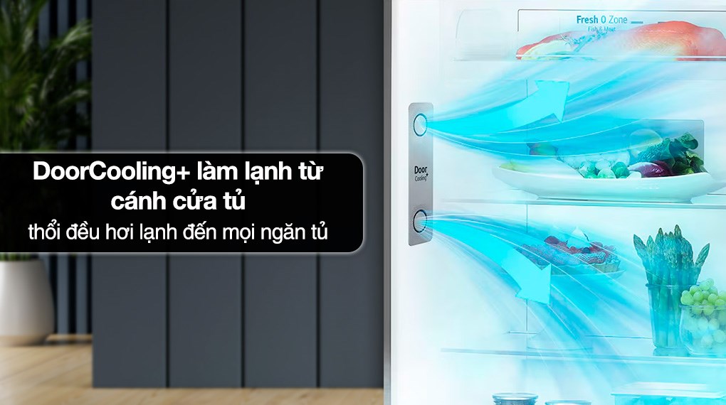 Tủ lạnh LG Inverter 459 lít LTD46SVMA