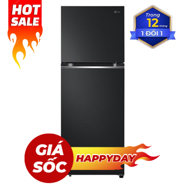 LG Inverter 315 lít LTB31BLM