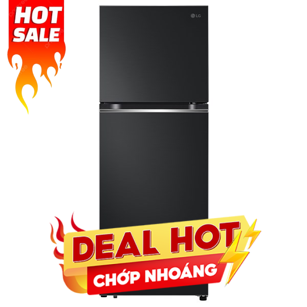 LG Inverter 315 lít LTB31BLM
