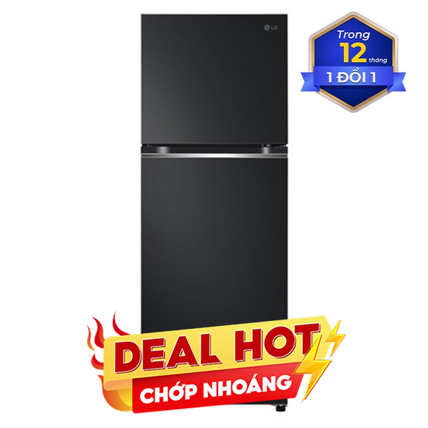 LG Inverter 315 lít LTB31BLM