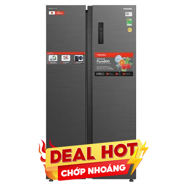 Toshiba Inverter 555 lít GR-RS696WI-PMV(60)-AG