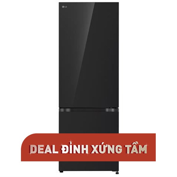 LG Inverter 335 lít LBB33BLGA