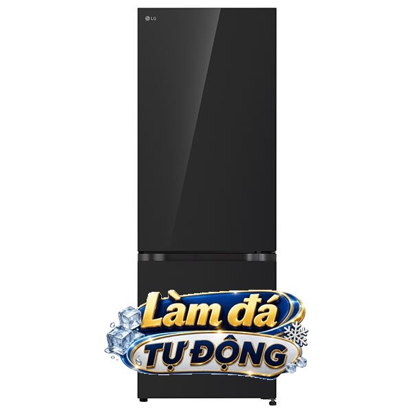 Tủ lạnh LG Inverter 335 lít LBB33BLGA