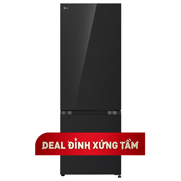 LG Inverter 335 lít LBB33BLGA