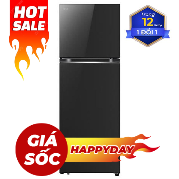 LG Inverter 335 lít LTB33BLG