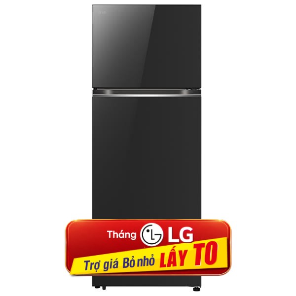 LG Inverter 315 lít LTB31BLMA