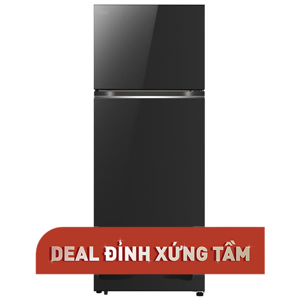 LG Inverter 315 lít LTB31BLMA