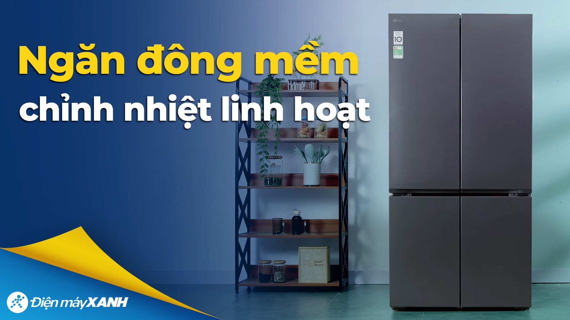 Tủ lạnh LG Inverter 575 lít Multi Door LFB58BLMA