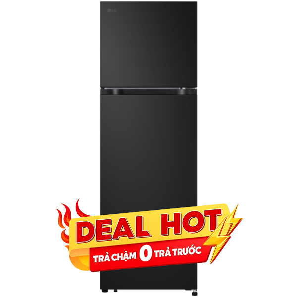 LG Inverter 266 lít LTB26BLM