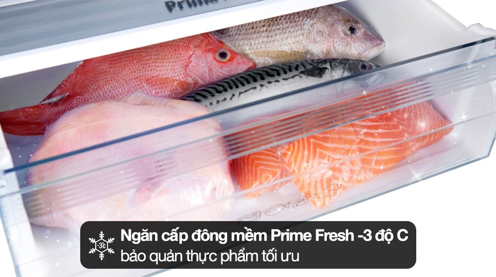 Tủ lạnh Panasonic Inverter 251 lít NR-SP275CPAV