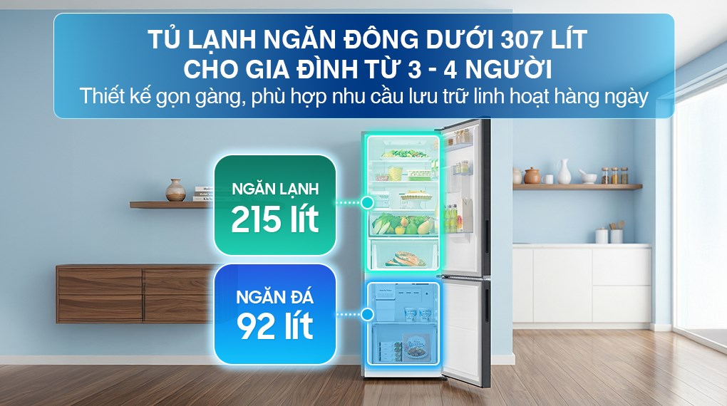 Tủ lạnh Samsung Inverter 307 lít RB30N4190B1/SV