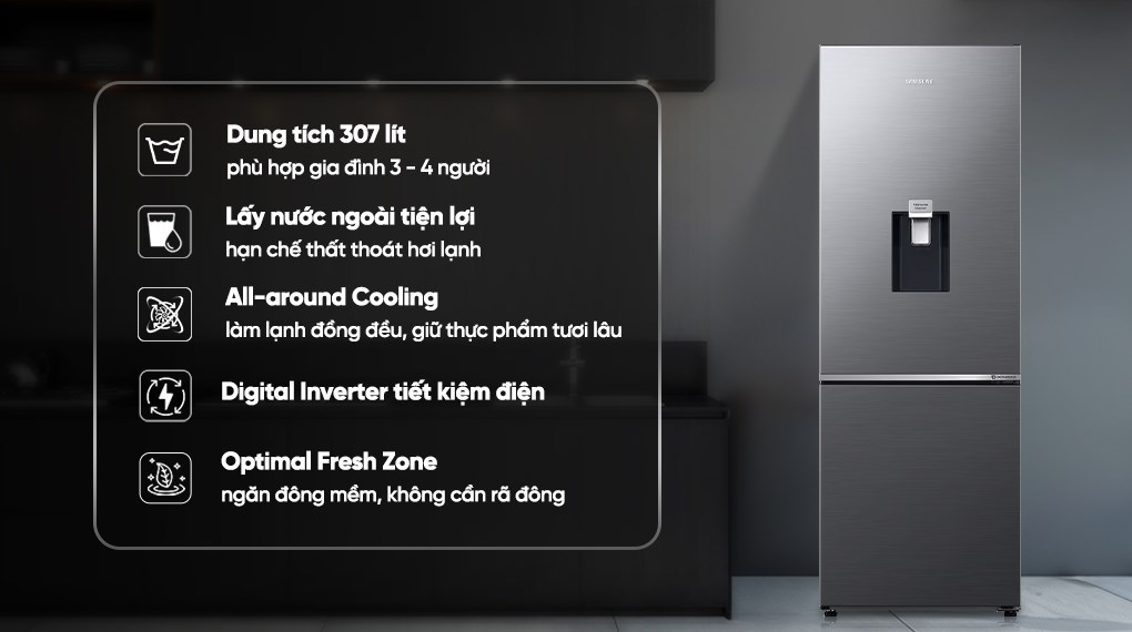 Tủ lạnh Samsung Inverter 307 lít RB30N4190S9/SV