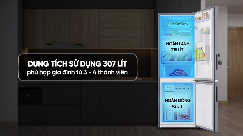 Tủ lạnh Samsung Inverter 307 lít RB30N4190S9/SV