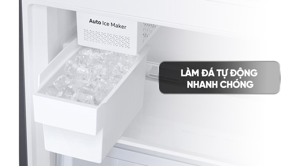 Tủ lạnh Samsung Inverter 307 lít RB30N4190S9/SV