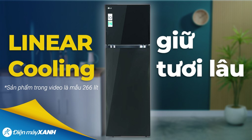 Tủ lạnh LG Inverter 266 lít T26BG