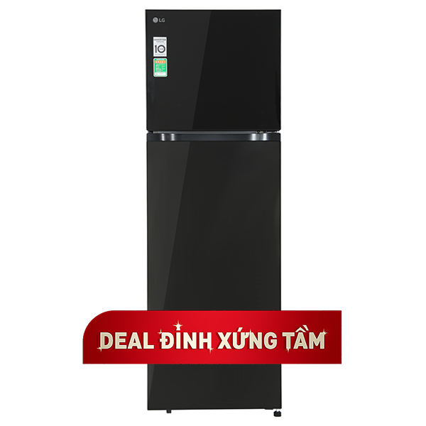 LG Inverter 266 lít T26BG