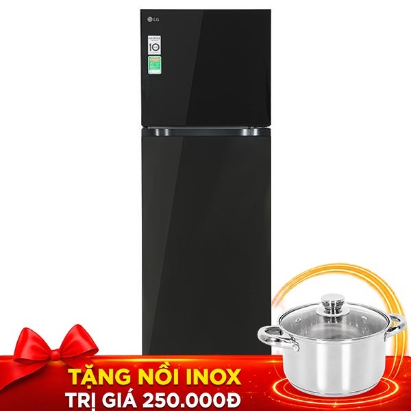LG Inverter 217 lít T21BG