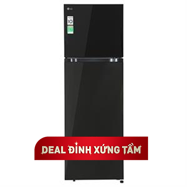 LG Inverter 217 lít T21BG