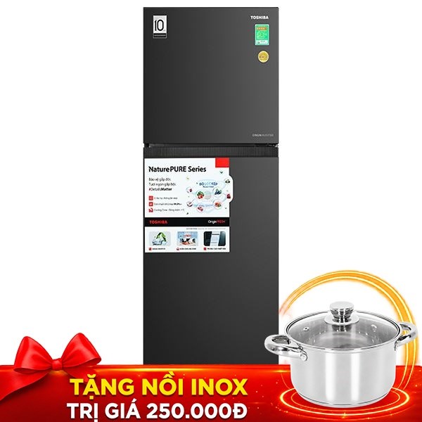Tủ lạnh Toshiba Inverter 271 lít GR-RT349WE-PMV(68)