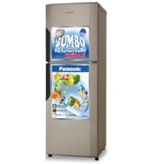 Panasonic NR-BJ225MSVN