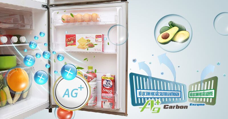 Tủ lạnh Toshiba GR-S19VUP được tích hợp bộ lọc khí Hybrid Bio