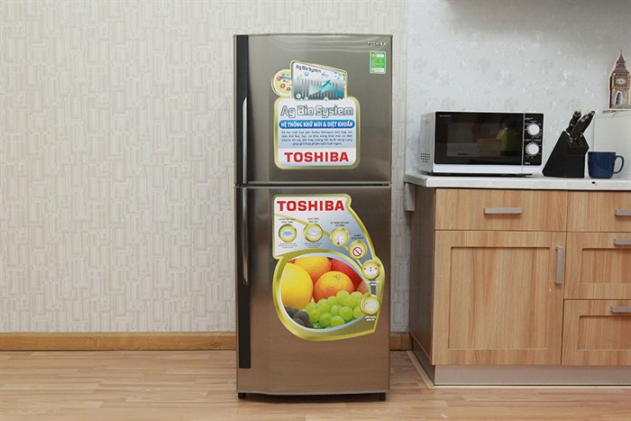 Tủ lạnh Toshiba 171 lít GR-S19VUP (TS) Màu Bạc Inox