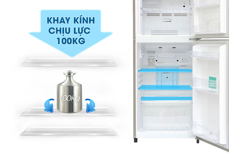 Với khay kính chịu lực lớn, bạn sẽ dễ dàng hơn trong việc bảo quản các thực phẩm có khối lượng nặng trong tủ lạnh Toshiba GR-S21VUB Với khay kính chịu lực lớn, bạn sẽ dễ dàng hơn trong việc bảo quản các thực phẩm có khối lượng nặng trong tủ lạnh Toshiba GR-S21VUB