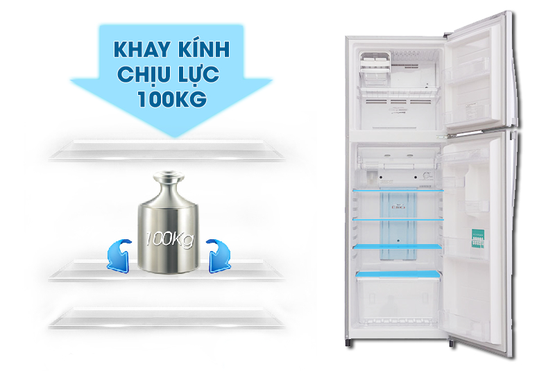 Khay kính của tủ lạnh Toshiba GR-S25VPB có thể chịu lực tốt