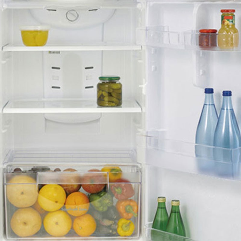 Tủ lạnh Samsung RT37SRPN2 305 lít