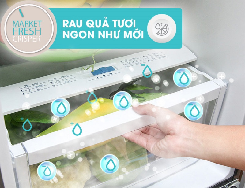 Ngăn tủ FreshMarket của tủ lạnh Electrolux ETB3500PE-RVN đem lại cho nó khả năng bảo quản thực phẩm tốt hơn