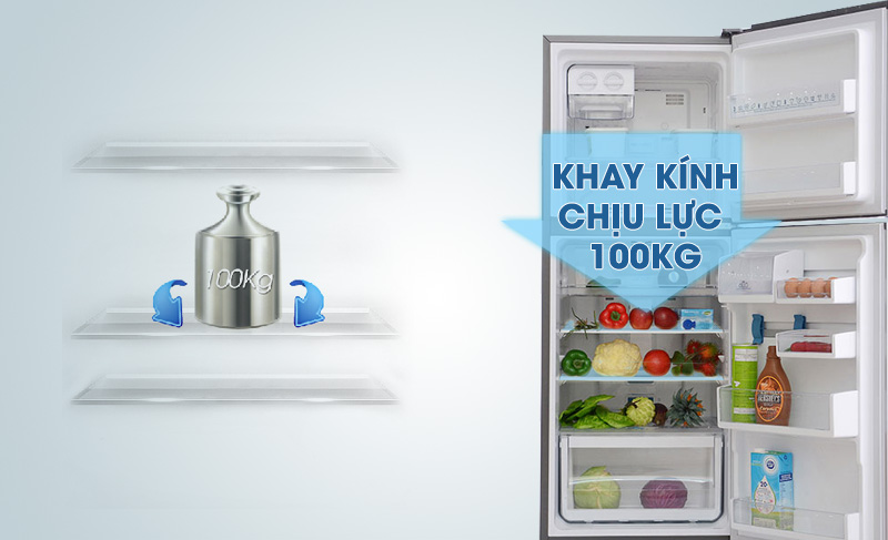 Tủ lạnh Electrolux ETB2300PE-RVN có khay kính chịu được trọng lượng lớn