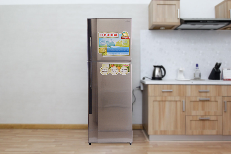 Tủ lạnh Toshiba GR-S25VPB