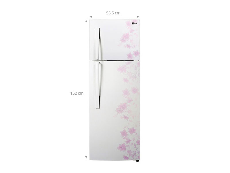 Tủ lạnh LG GN-L222BF 209 lít