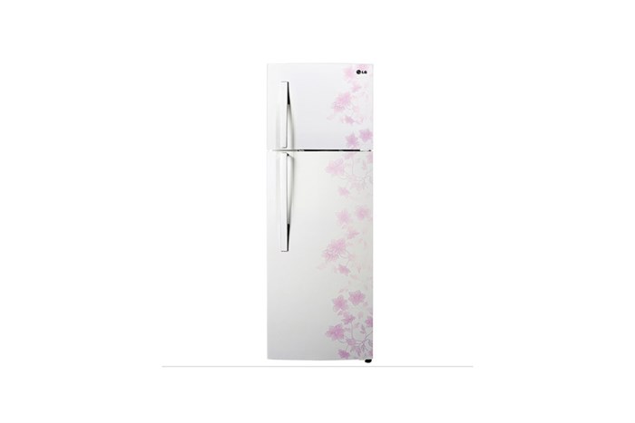 Tủ lạnh LG GN-L222BF 209 lít Màu Trắng