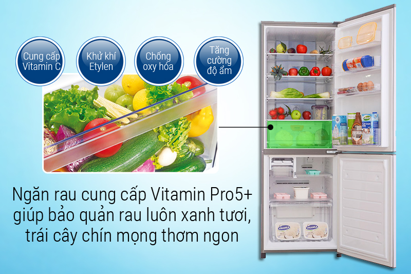 Ngăn rau cung cấp Vitamin Pro5+