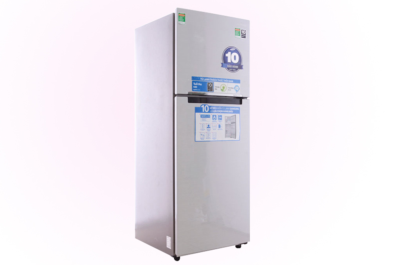 Samsung RT29FARBDSA/SV