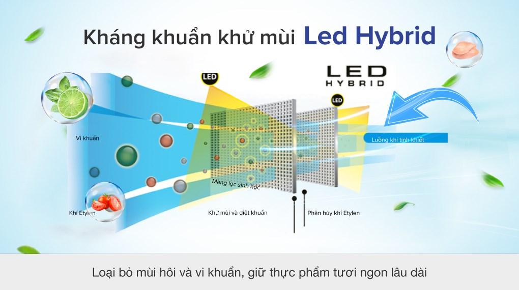 Tủ lạnh Toshiba Inverter 546 lít GR-WG58VDAZ - 5