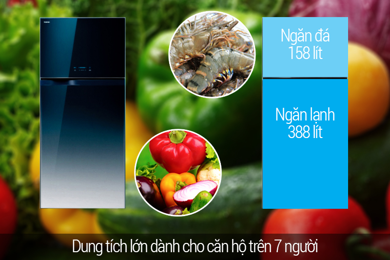 Dung tích