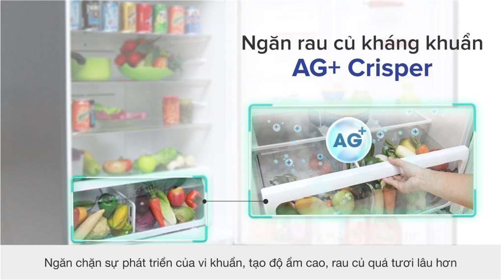 Tủ lạnh Toshiba Inverter 600 lít GR-WG66VDAZ