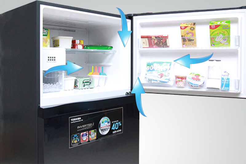 Tủ lạnh Toshiba 600 lít GR-WG66VDAZ