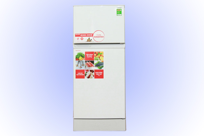 Sharp SJ-173E
